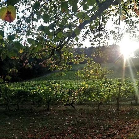 Chateau Regaldo-Saint Blancard Salleboeuf Dış mekan fotoğraf
