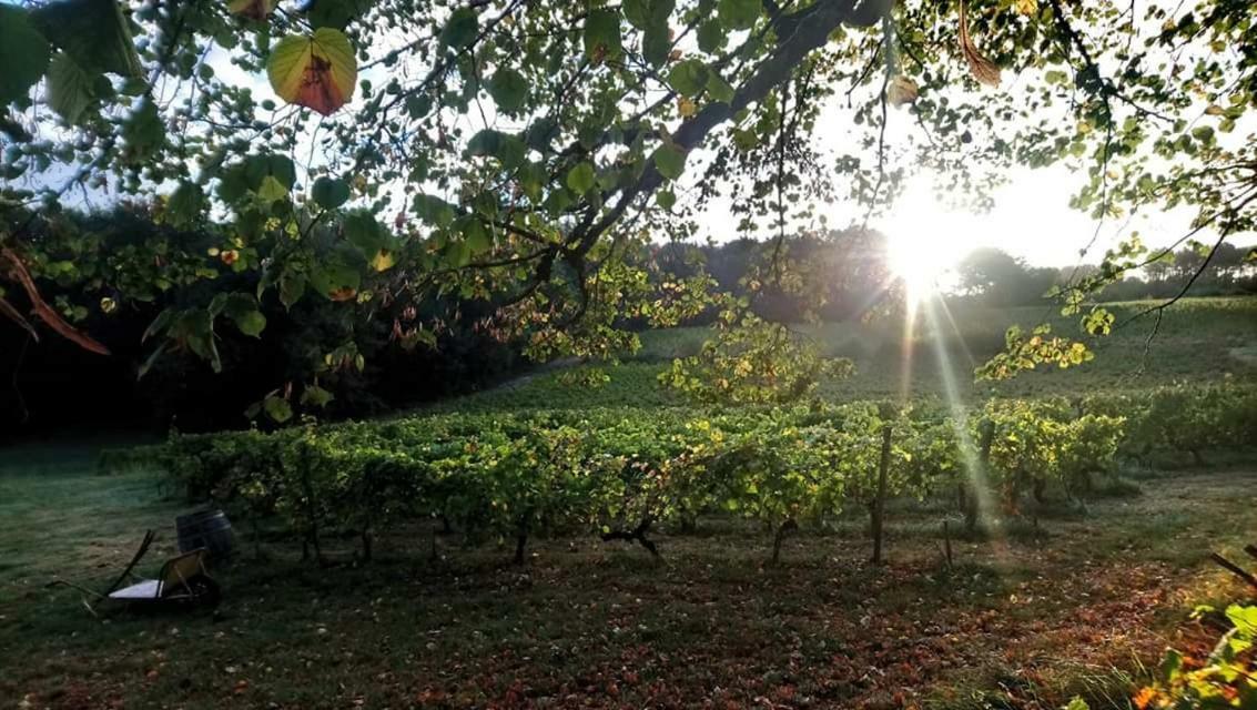 Chateau Regaldo-Saint Blancard Salleboeuf Dış mekan fotoğraf
