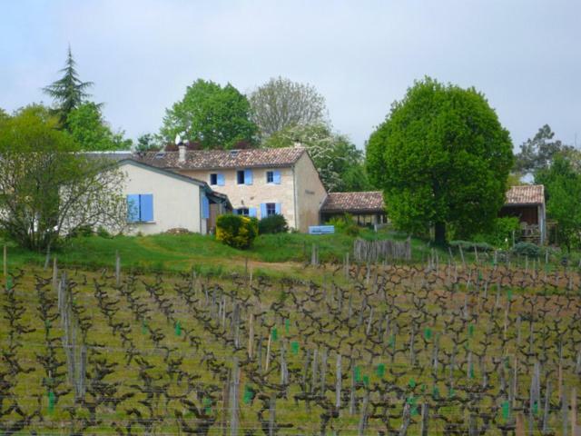 Chateau Regaldo-Saint Blancard Salleboeuf Dış mekan fotoğraf